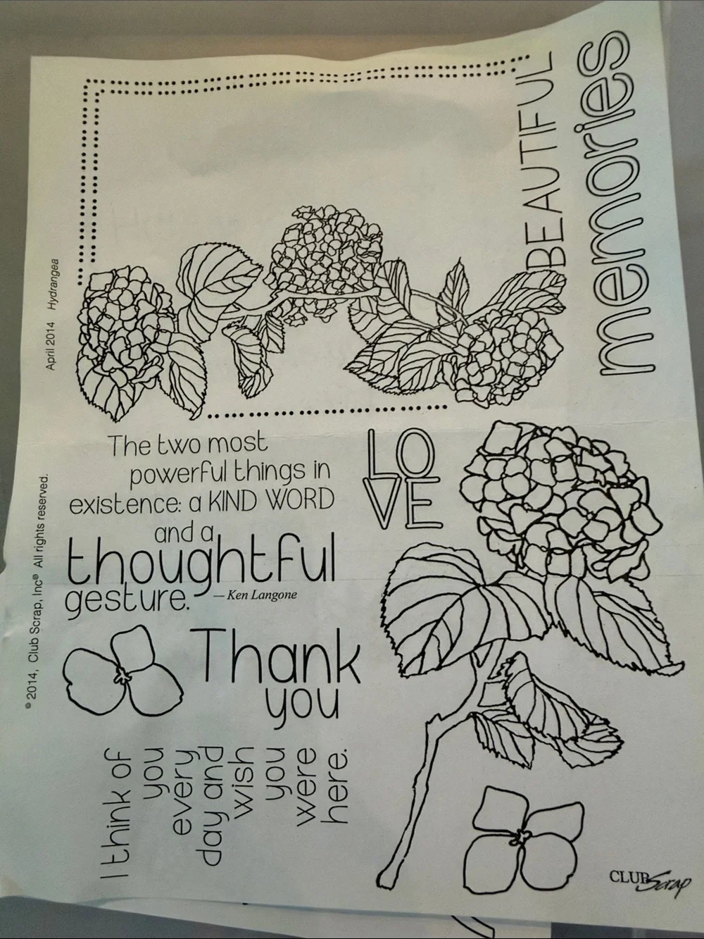 Hydranga Floral Sentiment rubber mount  Stamp Set